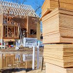 Plywood For General Projects